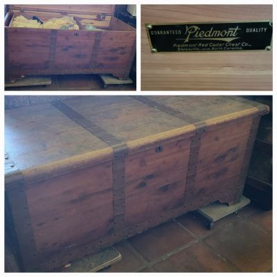 Piedmont trunk.jpg